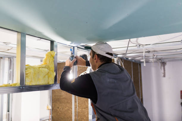 Best Cellulose Insulation in Fern Park, FL