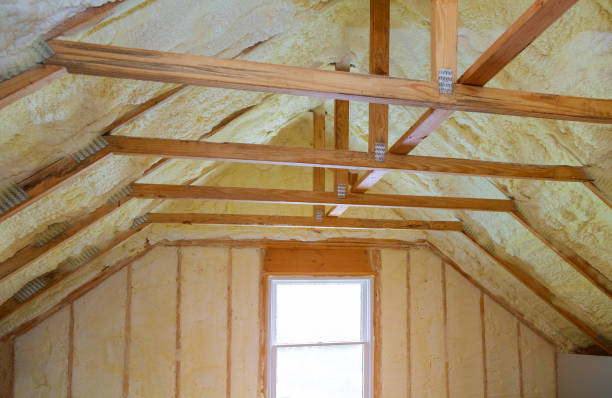 Best Geographic-Specific Insulation Services in Fern Park, FL