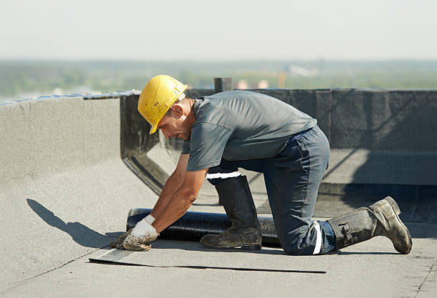 Types of Insulation We Offer in Fern Park, FL
