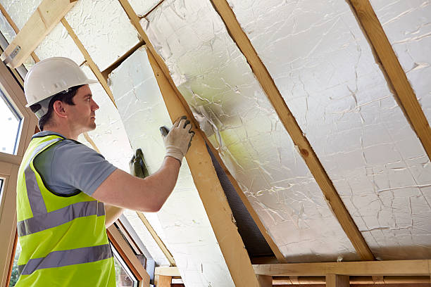 Types of Insulation We Offer in Fern Park, FL