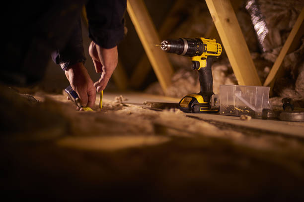 Best Specialized Insulation Services in Fern Park, FL
